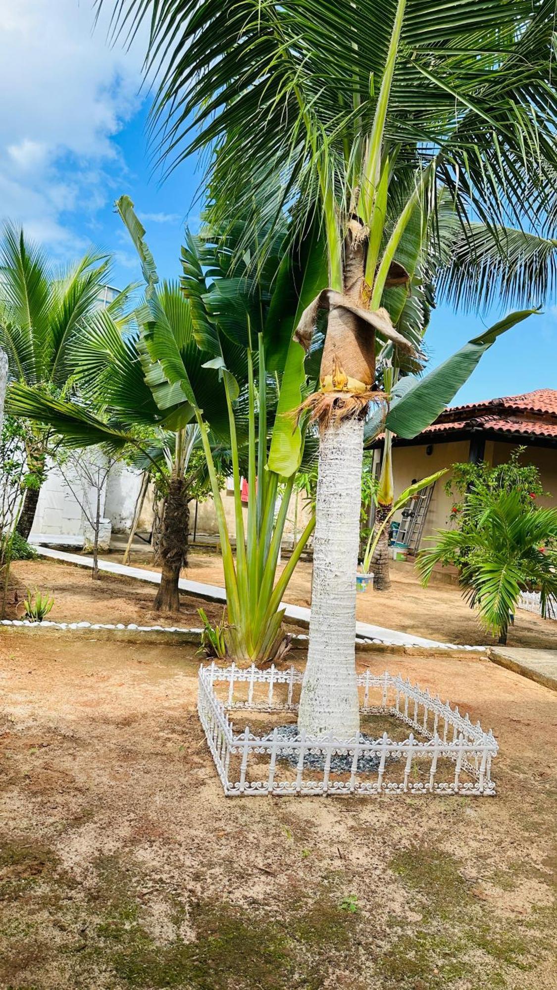 B&B Residencia Casa Branca Sítio Dış mekan fotoğraf